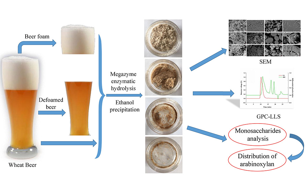 équipement de brasserie artisanale, fournisseurs d'équipements de microbrasserie