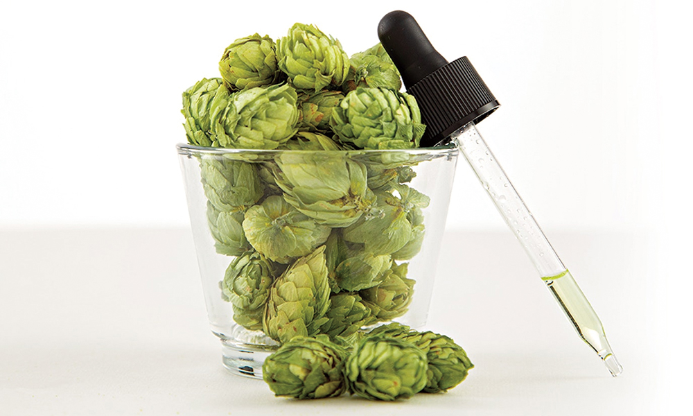 <b>Comment extraire l’arôme et la saveur du houblon de la bière pour brasser la bière ?</b>