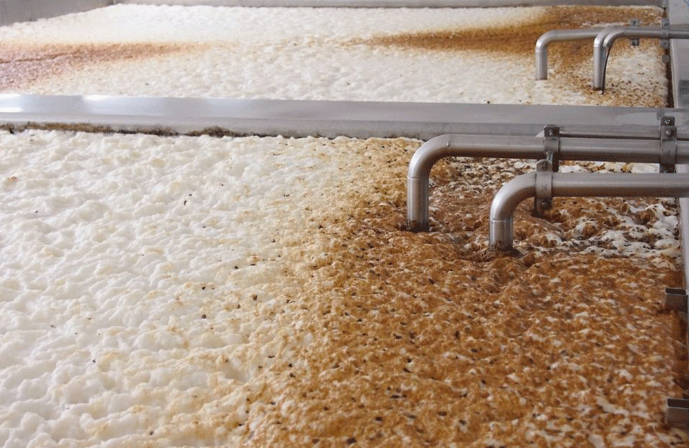 cuve de fermentation, équipement de bière