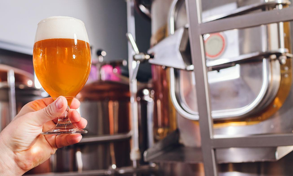 Bière non filtrée, bière filtrée, équipement de brassage de bière